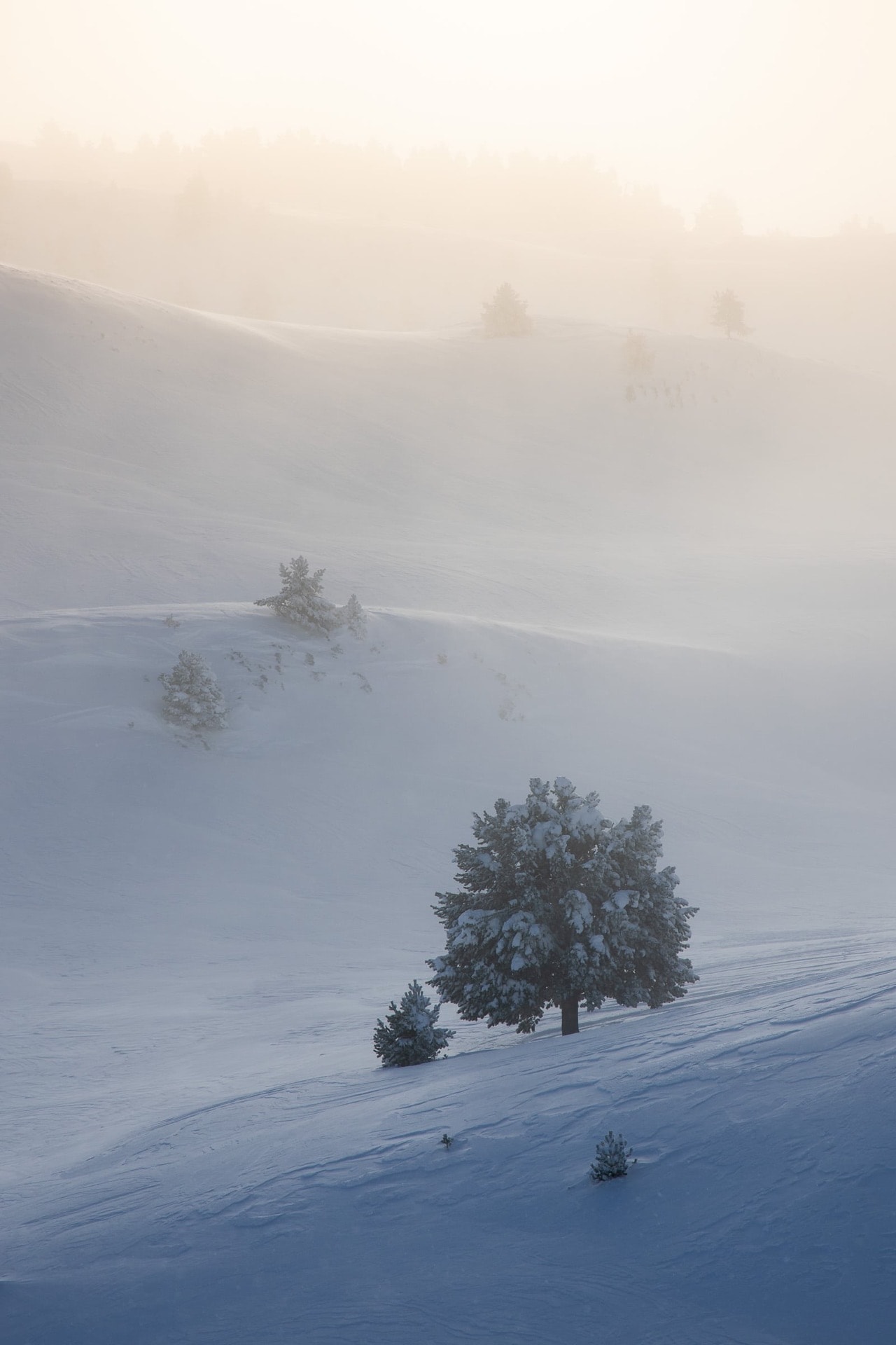 Ombre et lumière — Vercors