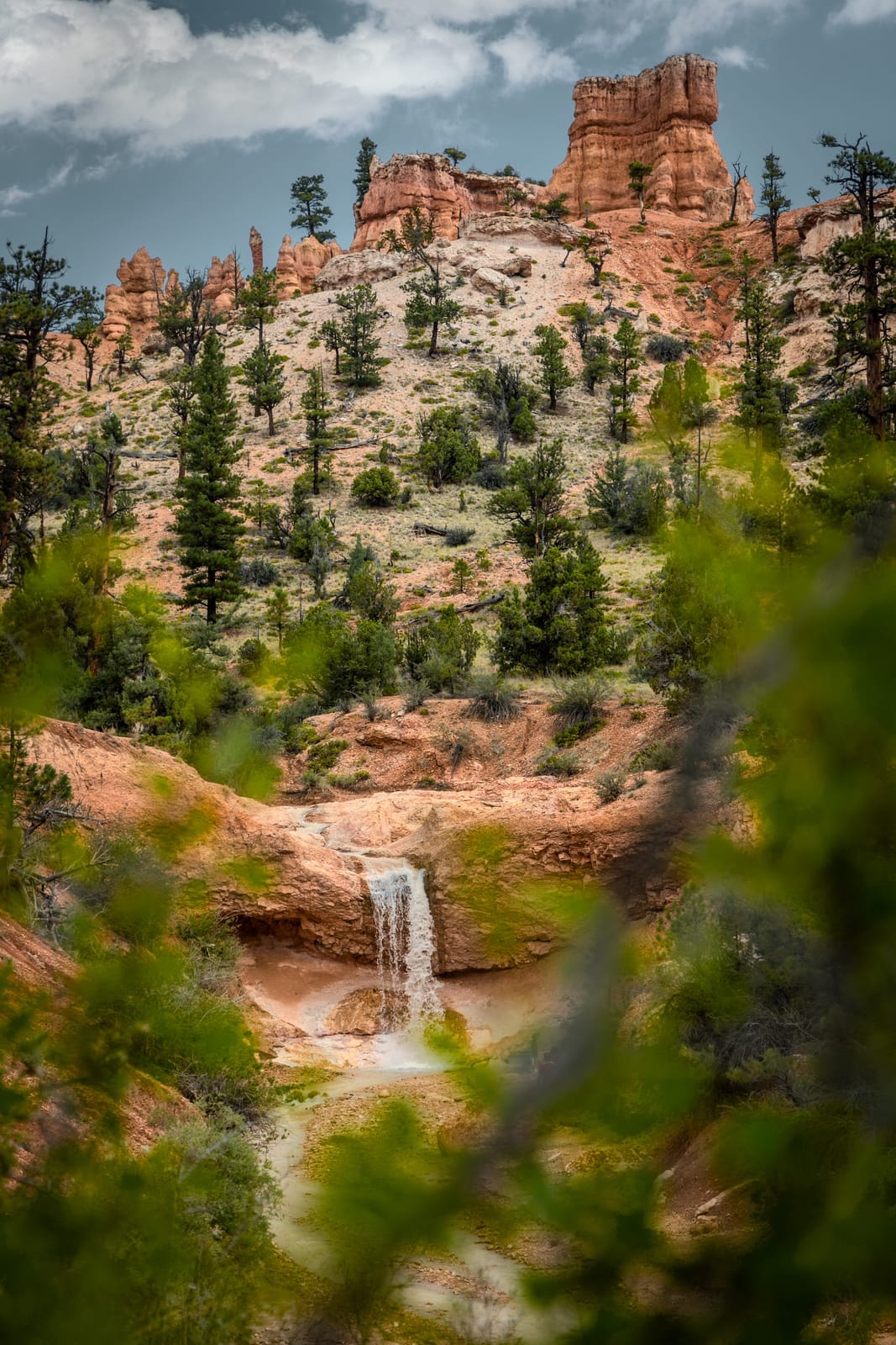 Mossy Cave Trail and the Scenic Drive the Next Day — Bryce Canyon National Park, Utah