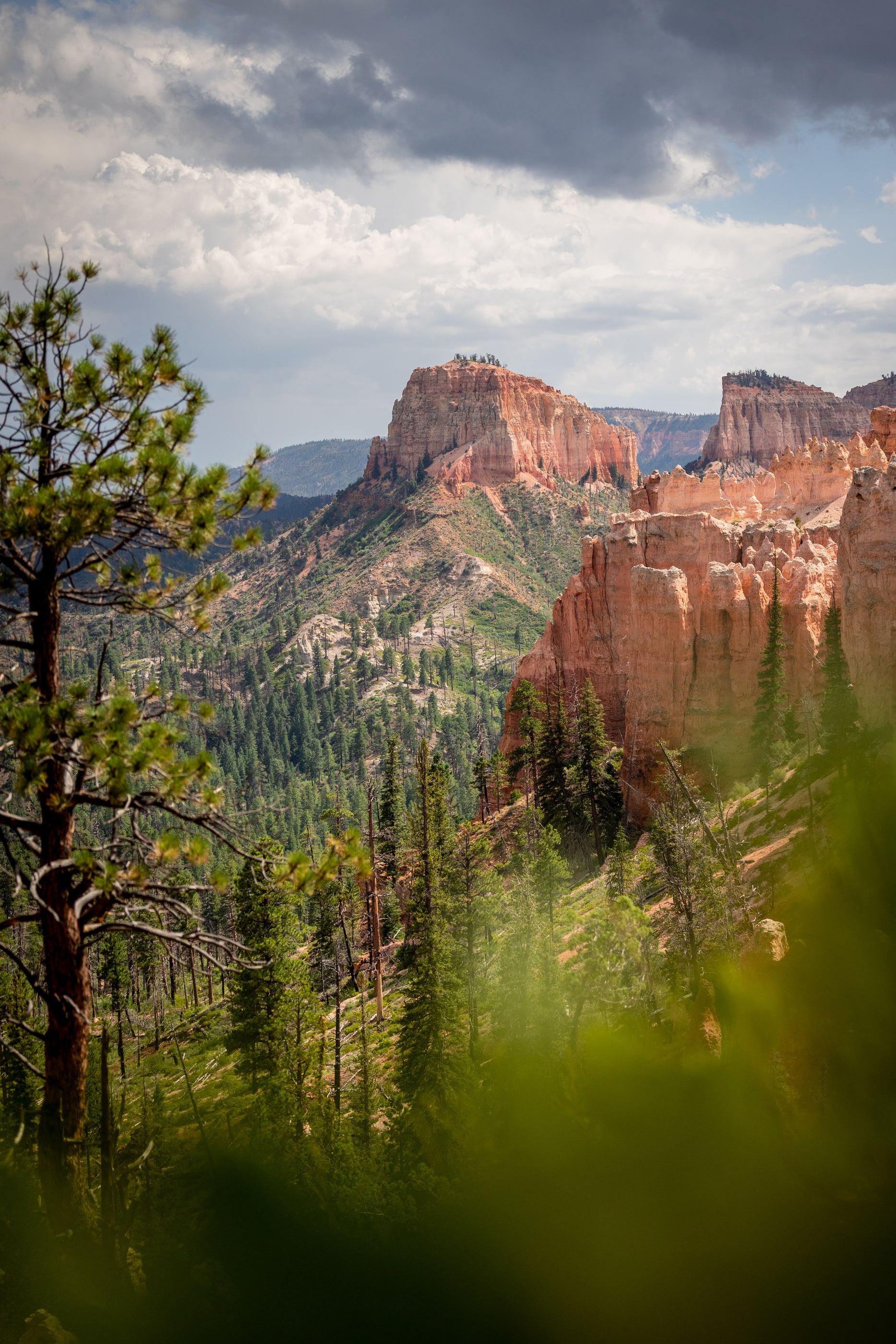 Mossy cave trail et la route touristique le lendemain — Parc National de Bryce Canyon, Utah