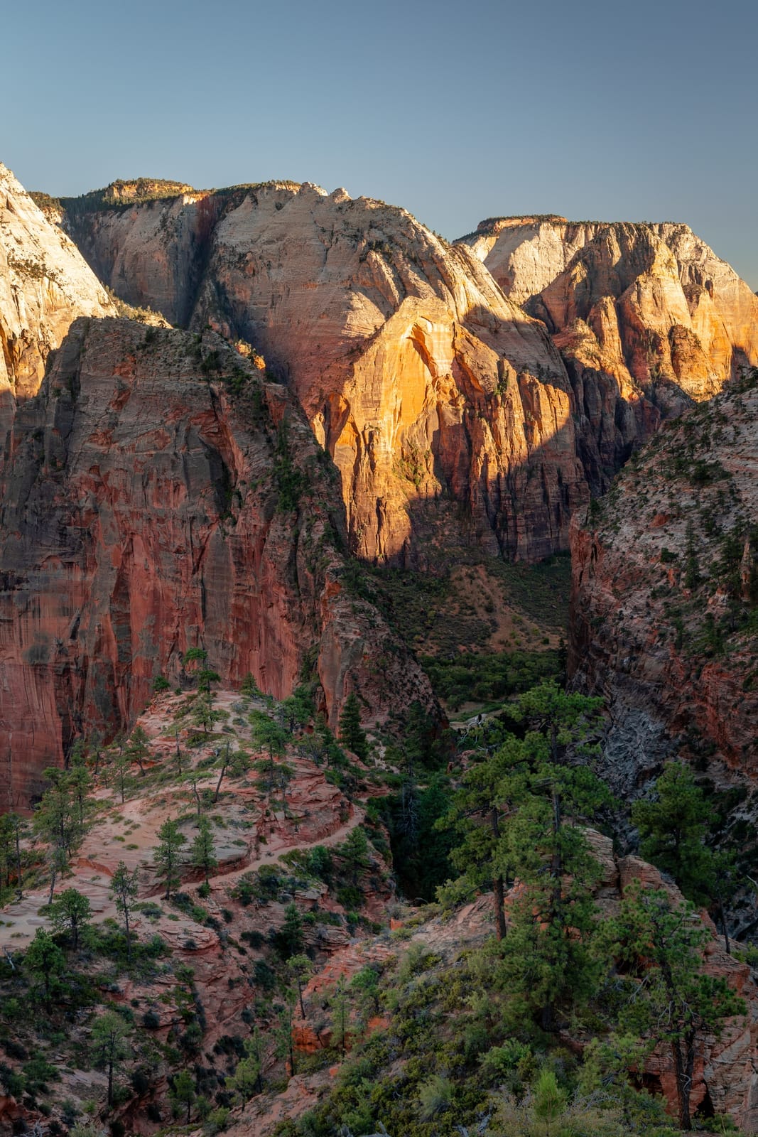 Bivouac sur le west rim trail — Parc National de Zion, Utah