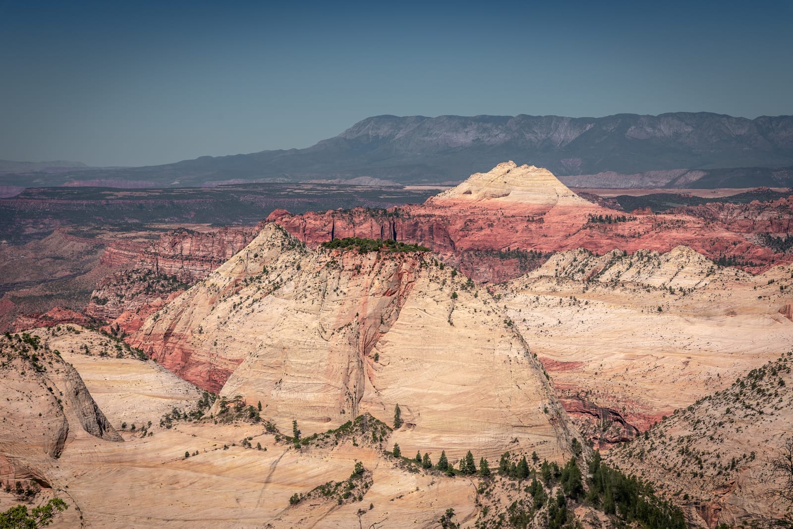 Bivouac sur le west rim trail — Parc National de Zion, Utah