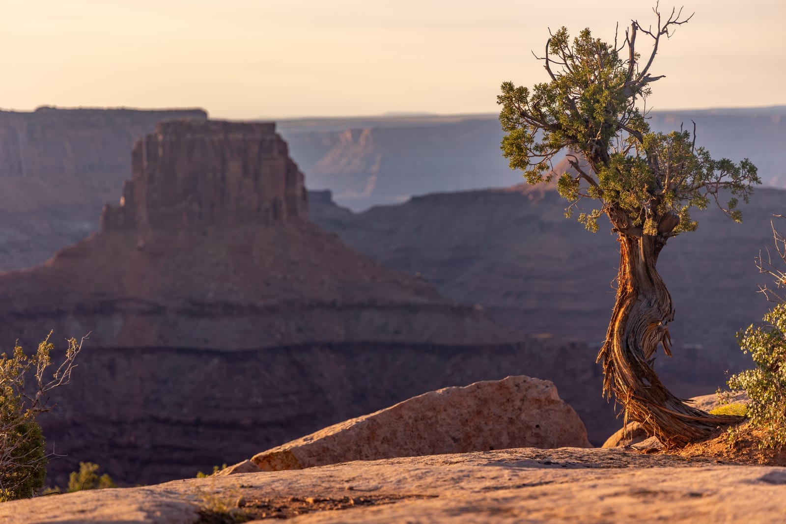 Près de notre campement — Parc National des Arches, Utah