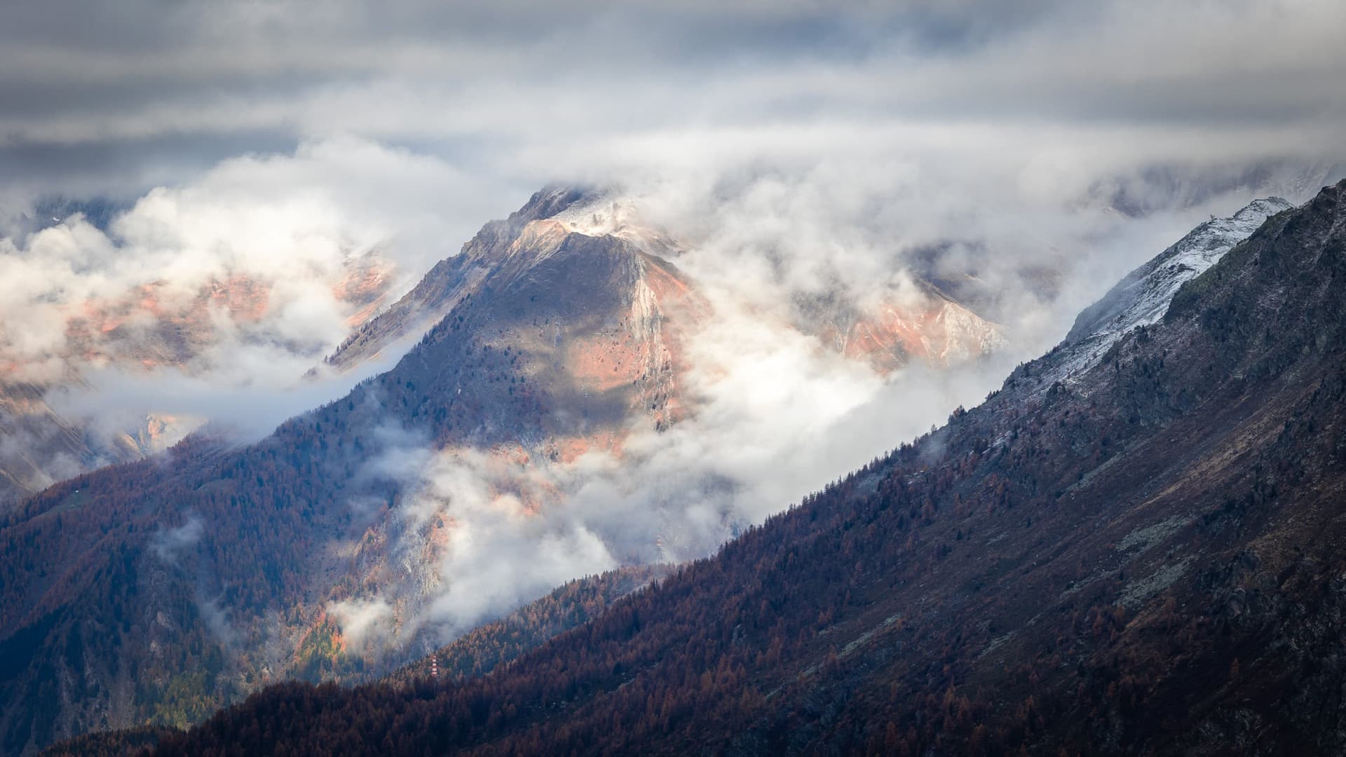 Autumn Mist