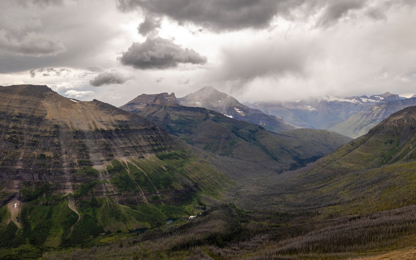 Depuis dawson pass — Glacier, ETATS UNIS