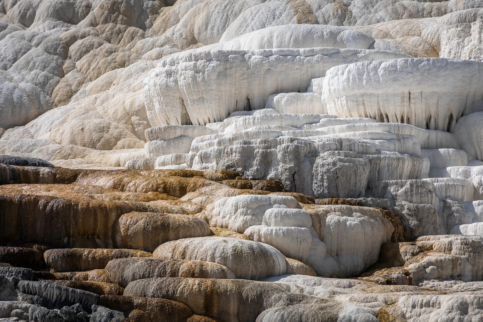 Terrasses de travertin — Yellowstone, ETATS UNIS