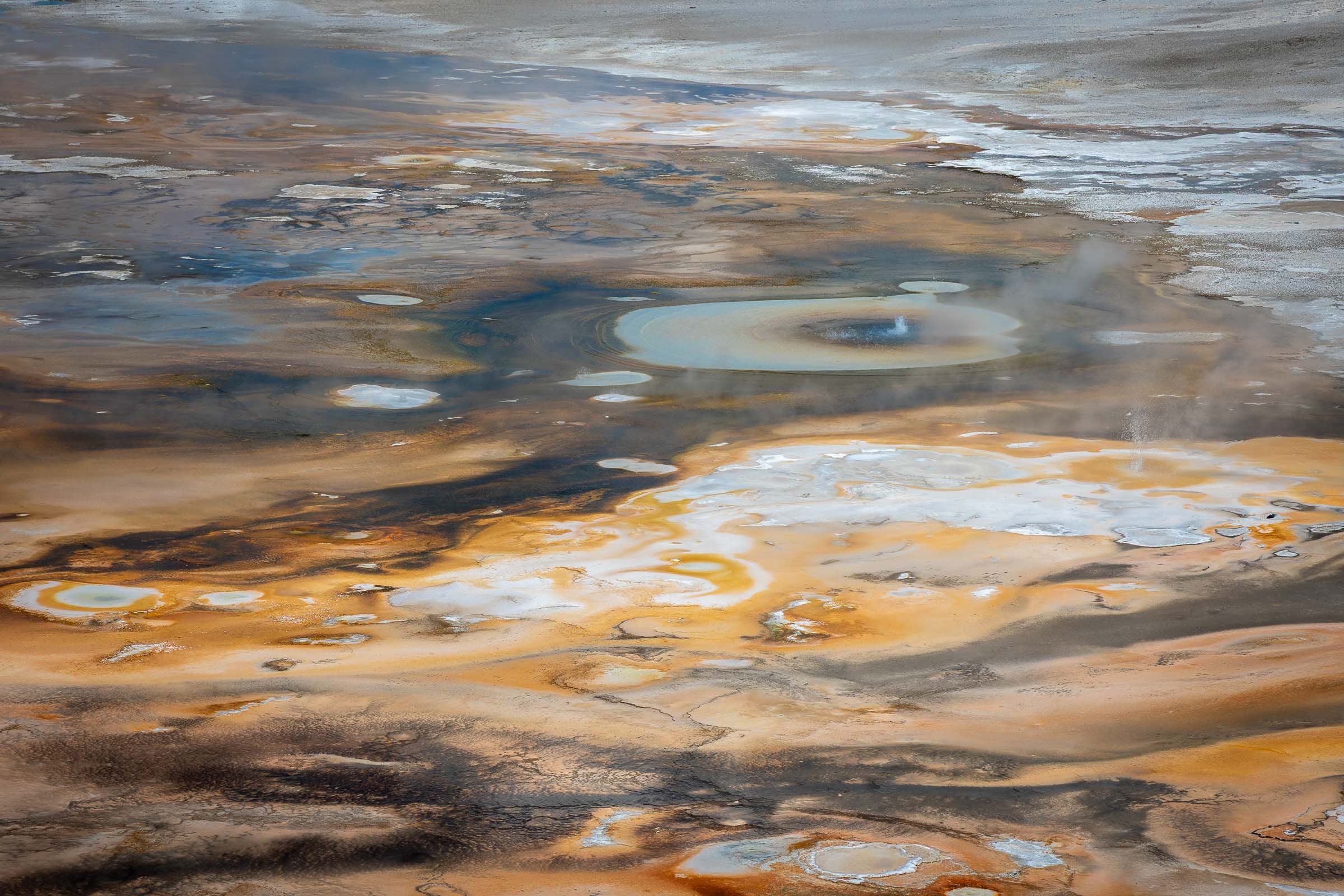 Détails — Parc National de Yellowstone, Wyoming