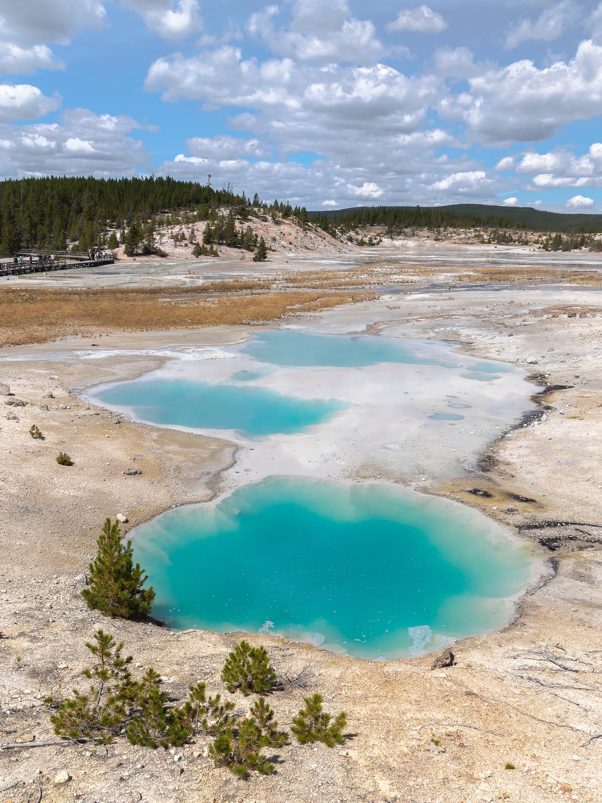Colloidal Pool — Yellowstone, UNITED STATES