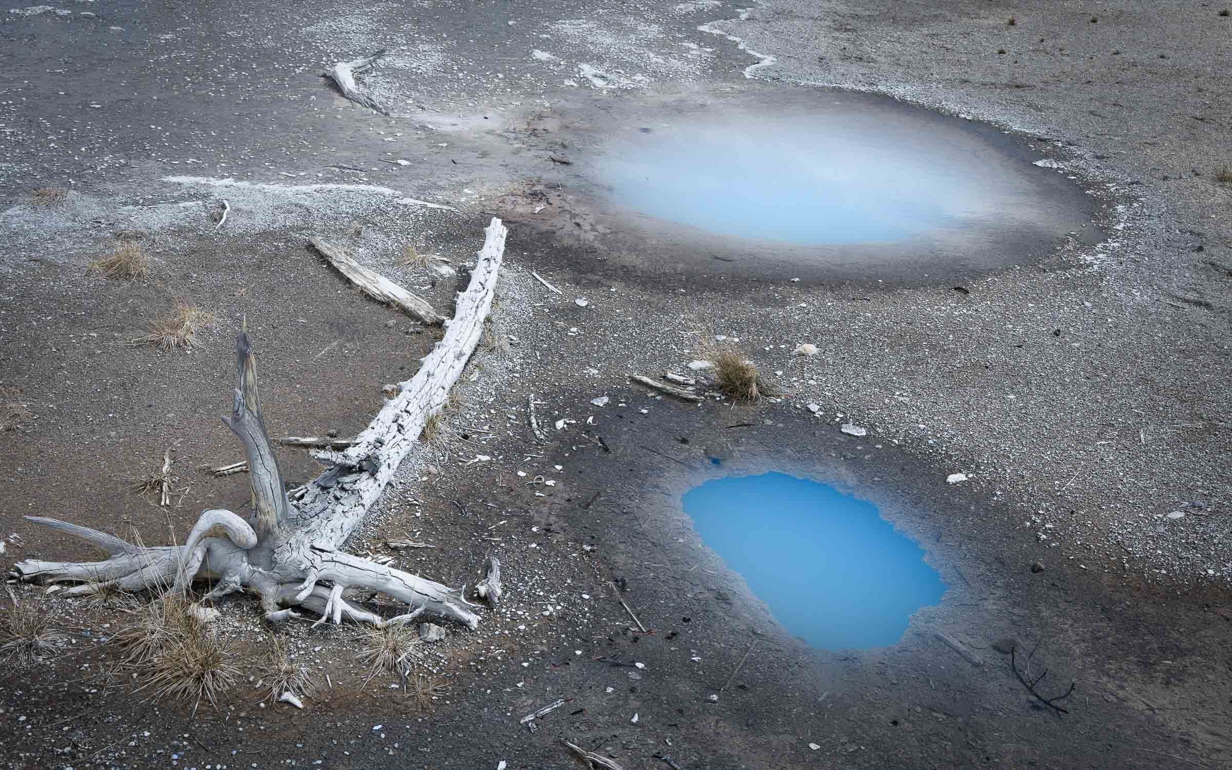 Etonnantes couleurs — Parc National de Yellowstone, Wyoming