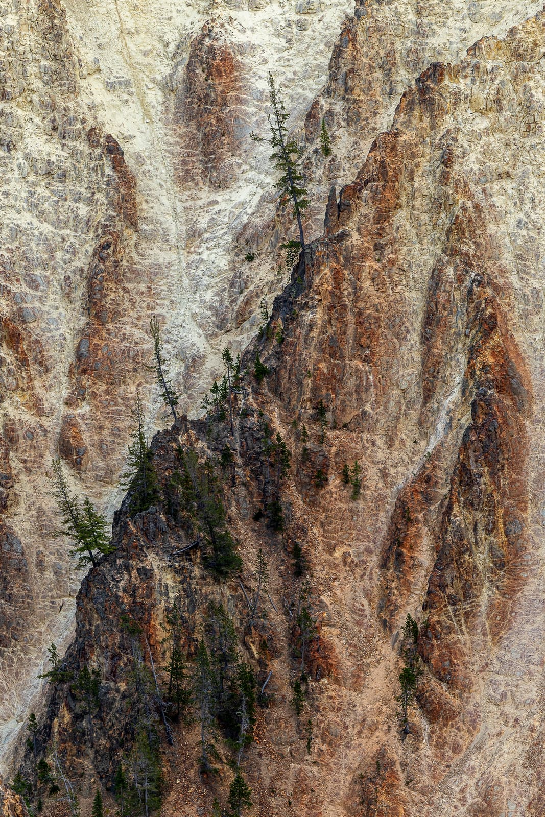 Rock tableau — Yellowstone, UNITED STATES
