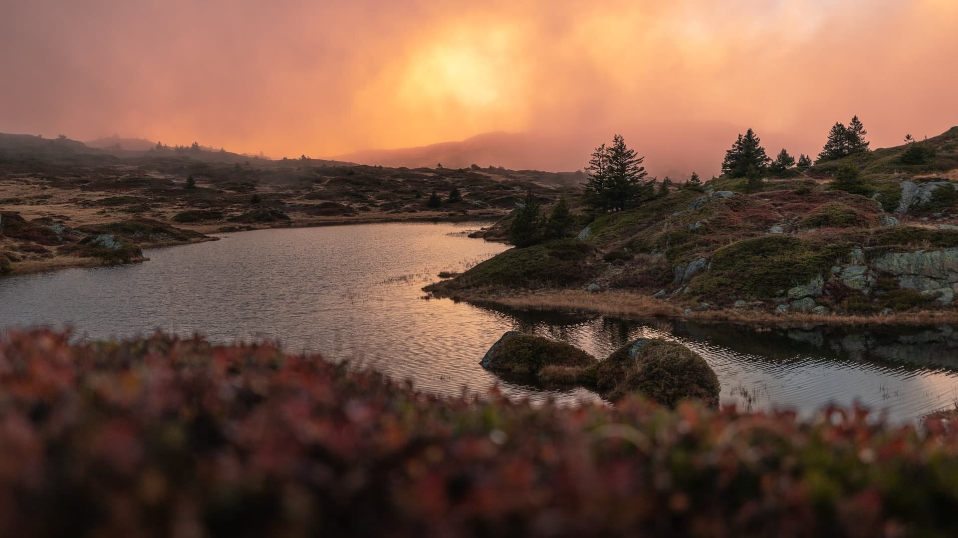 Red Twilight