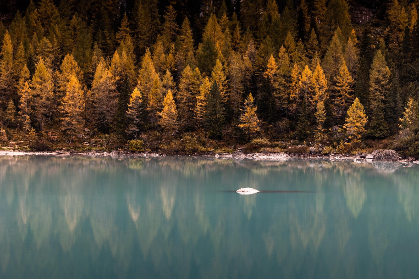Bleu et or — Dolomites