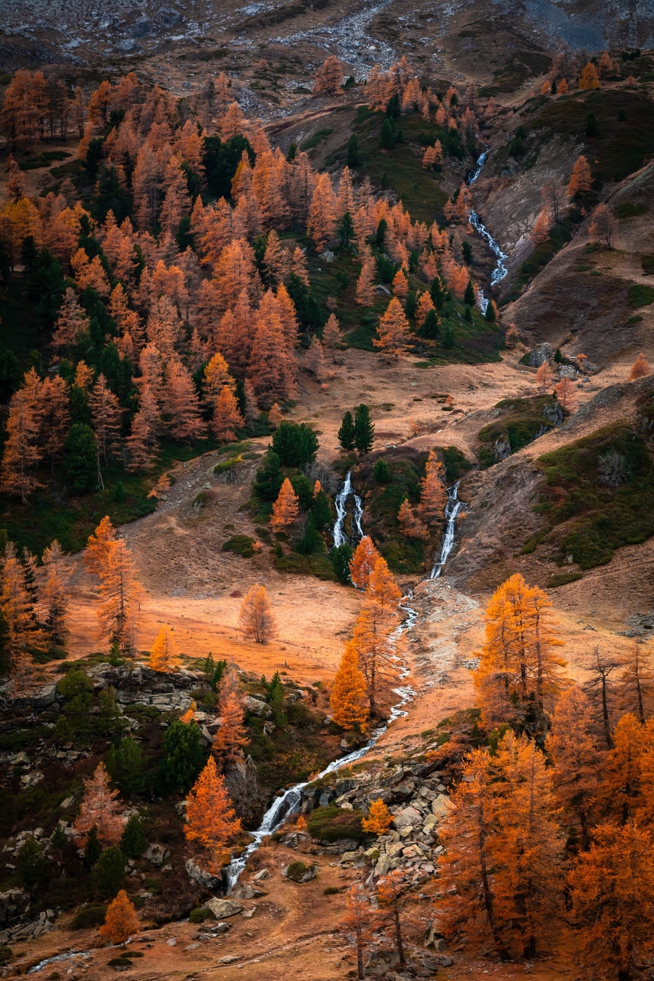 Cascades et mélèzes dorés — Cerces
