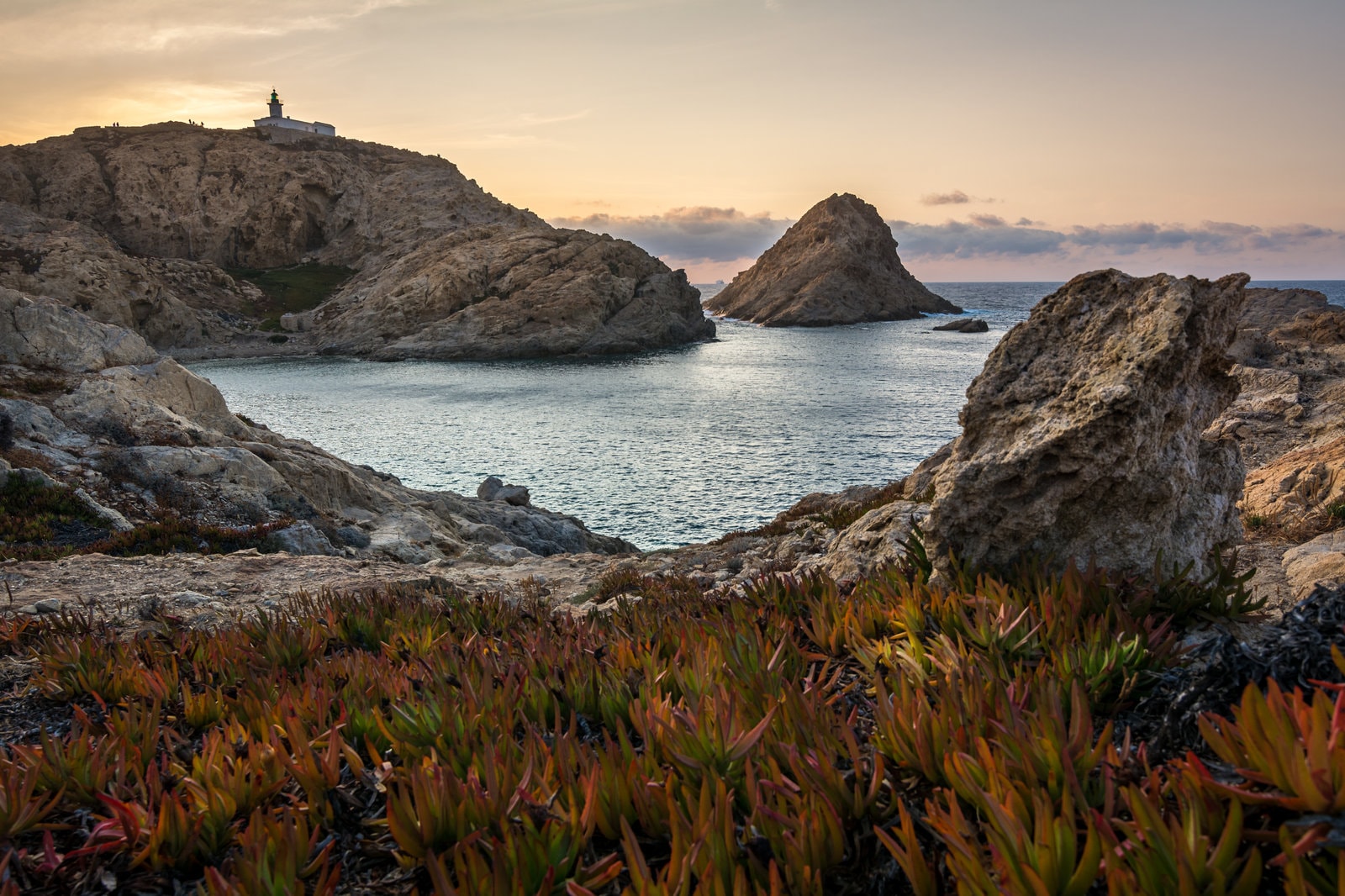 Rocky Coast — Sea