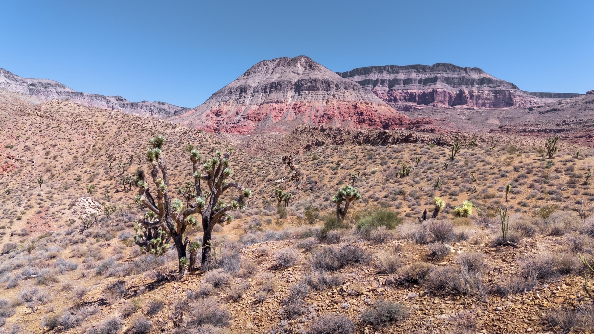 Crossing California and Arriving in Los Angeles! — Zion National Park, Utah