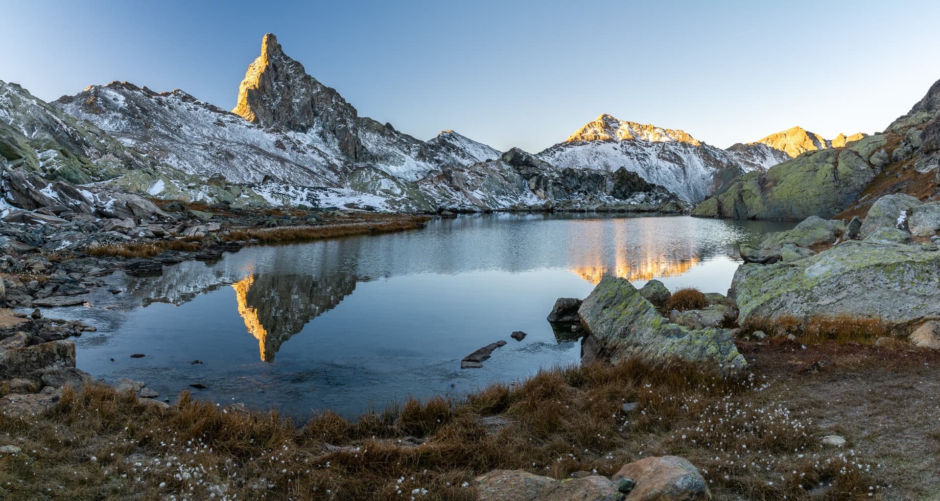 Tête de Toillie Reflects