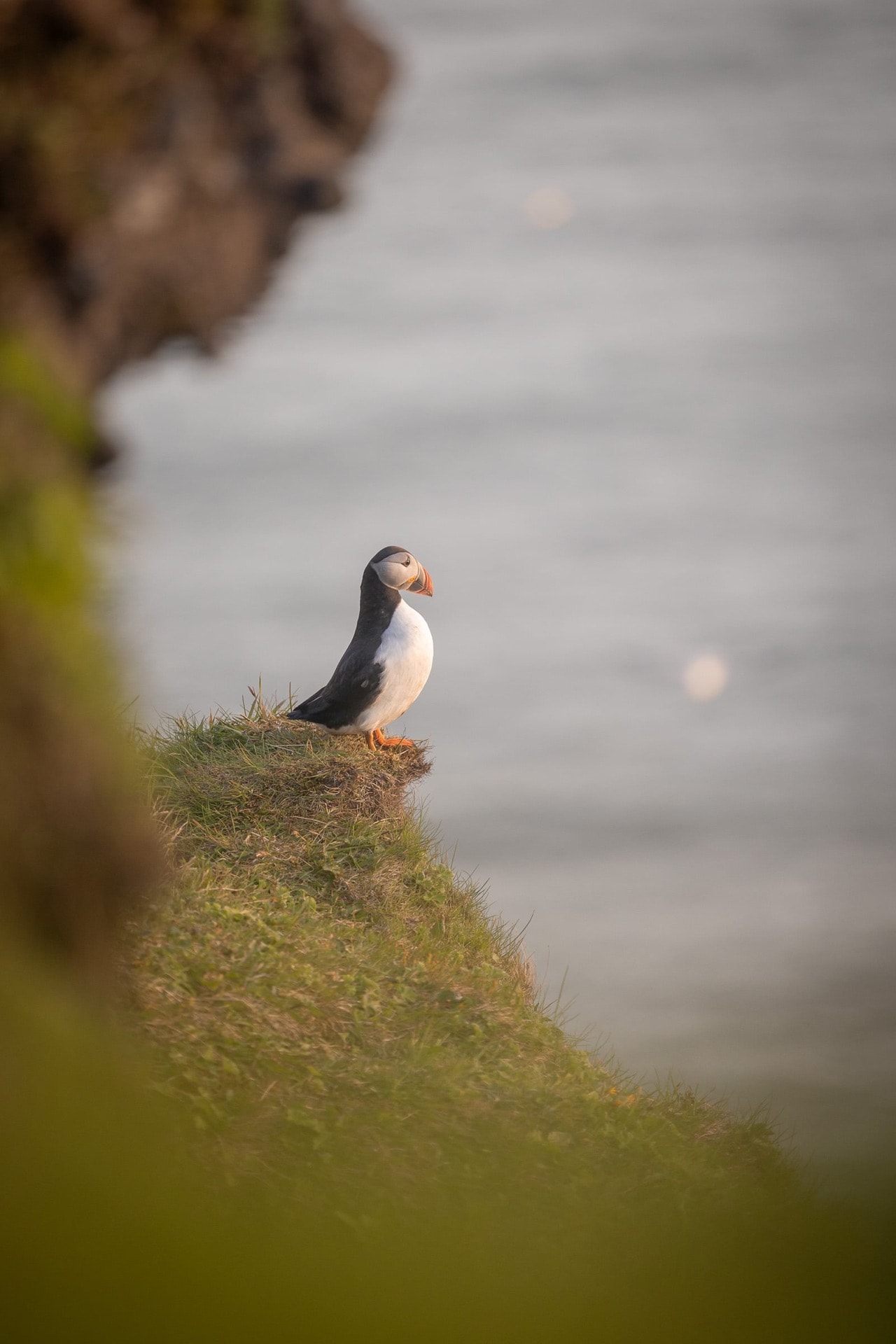 Le veilleur — Islande