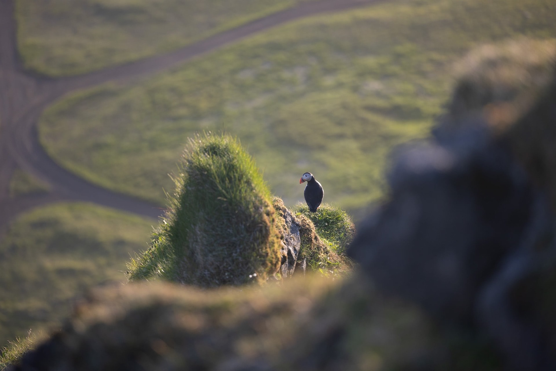 Avant l'envol — Islande
