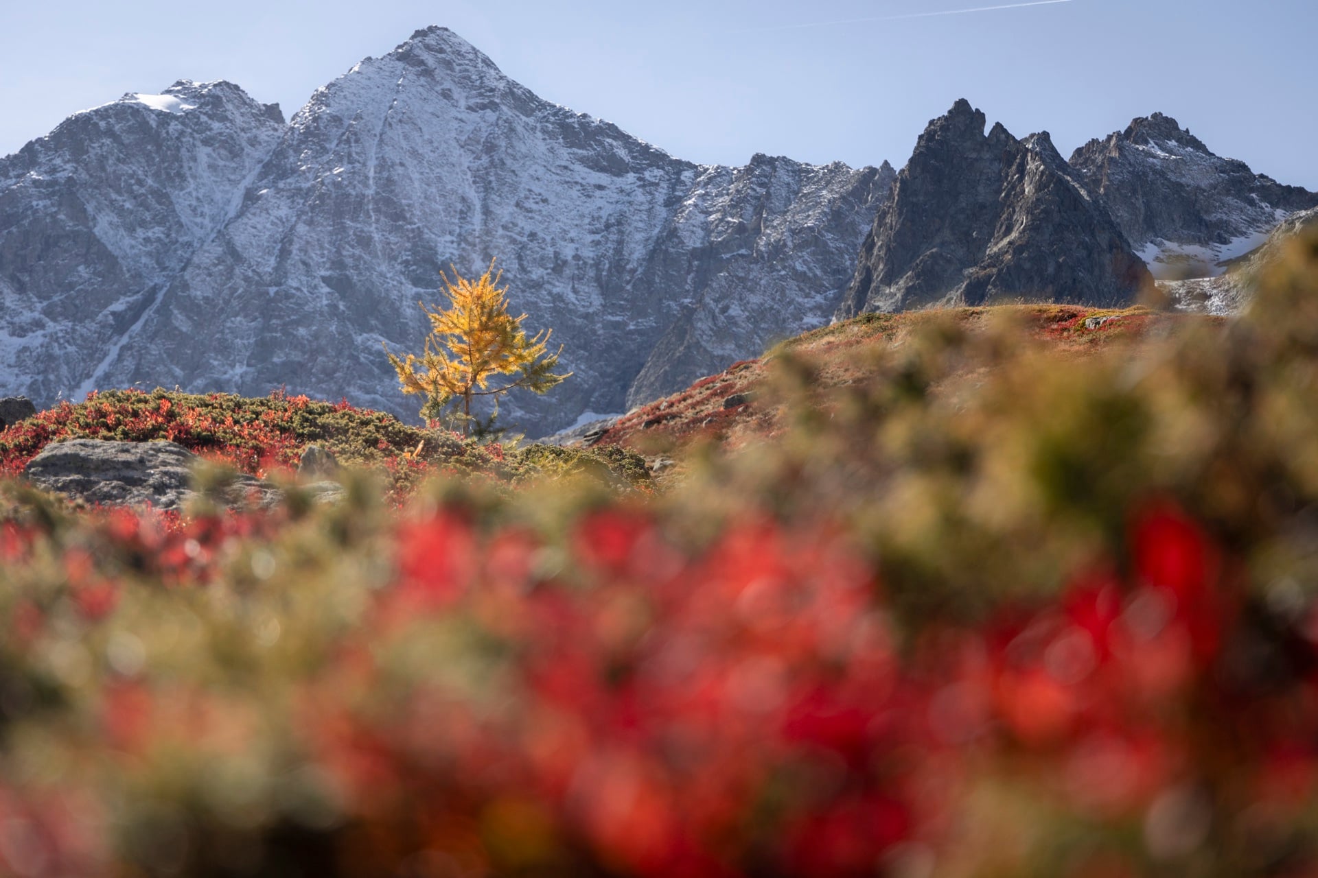 Autumn Palette — Écrins