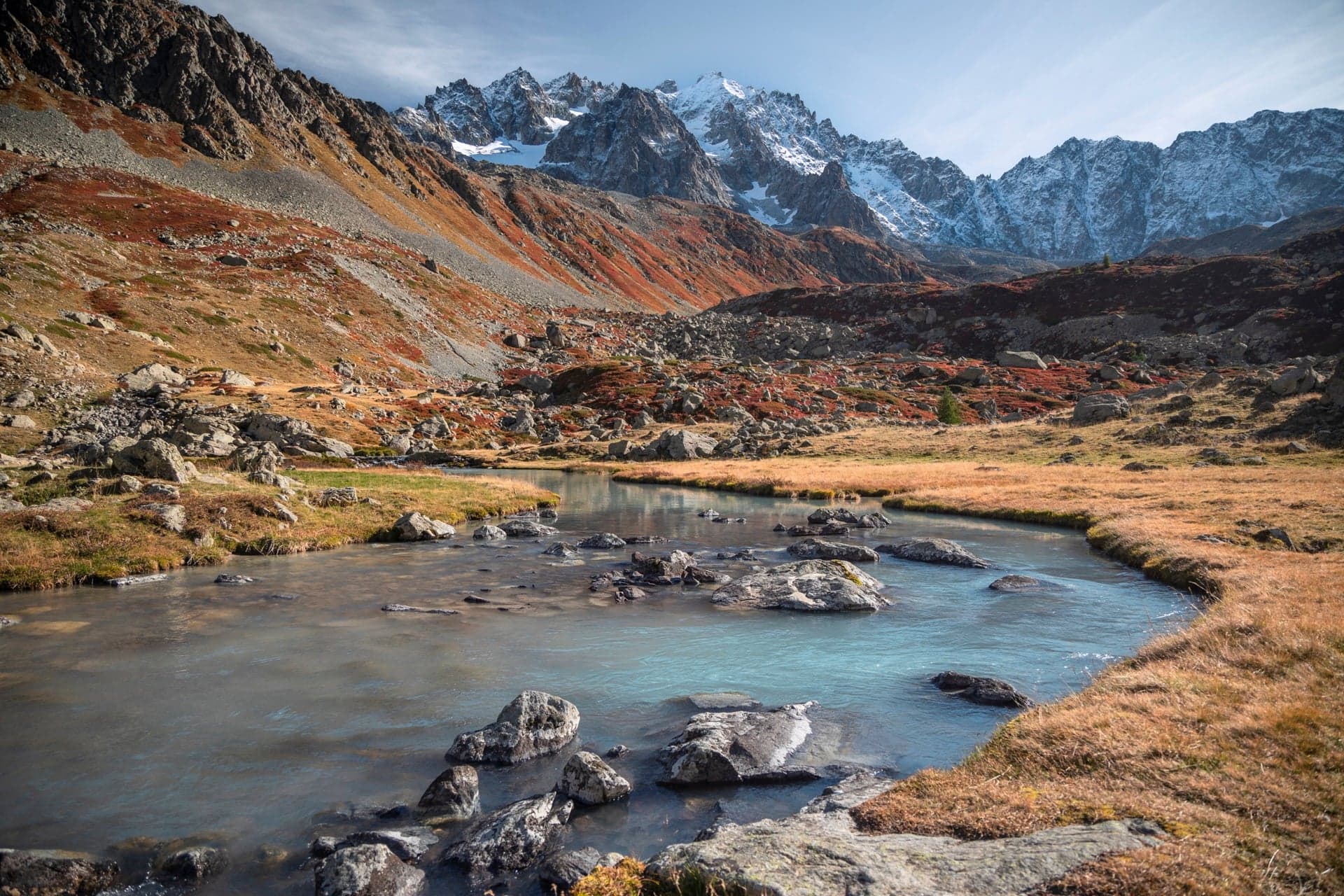 les agneaux depuis le réou d'arsine