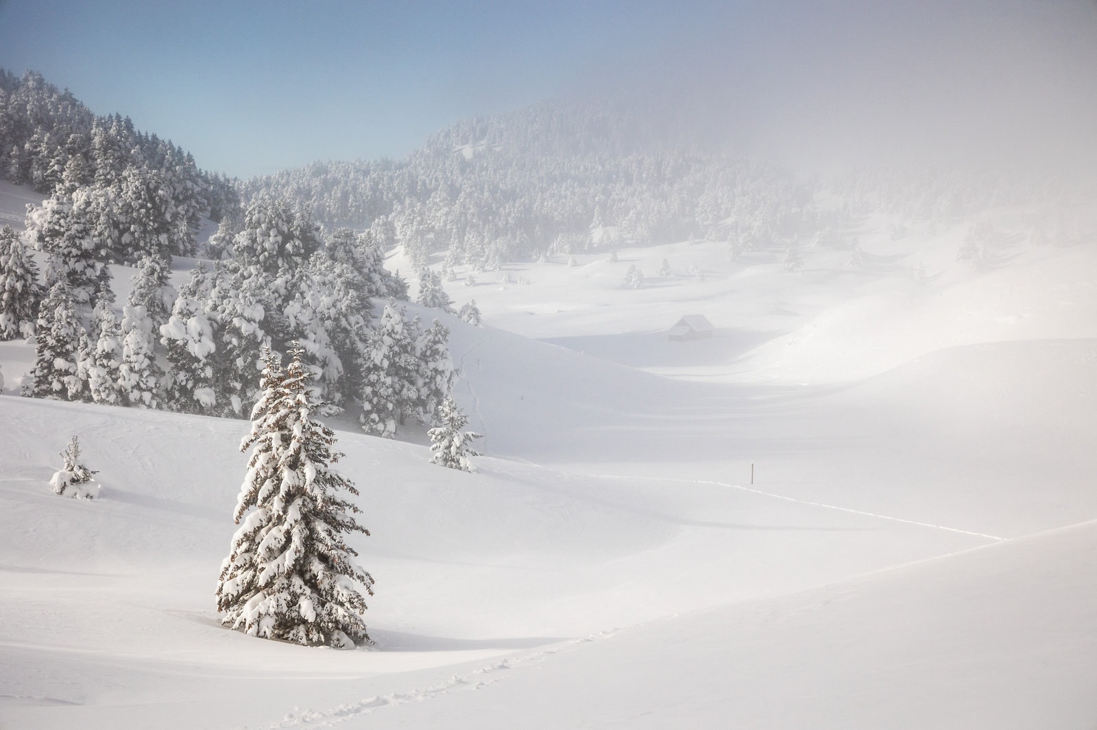 Les Plateaux du Vercors immaculés