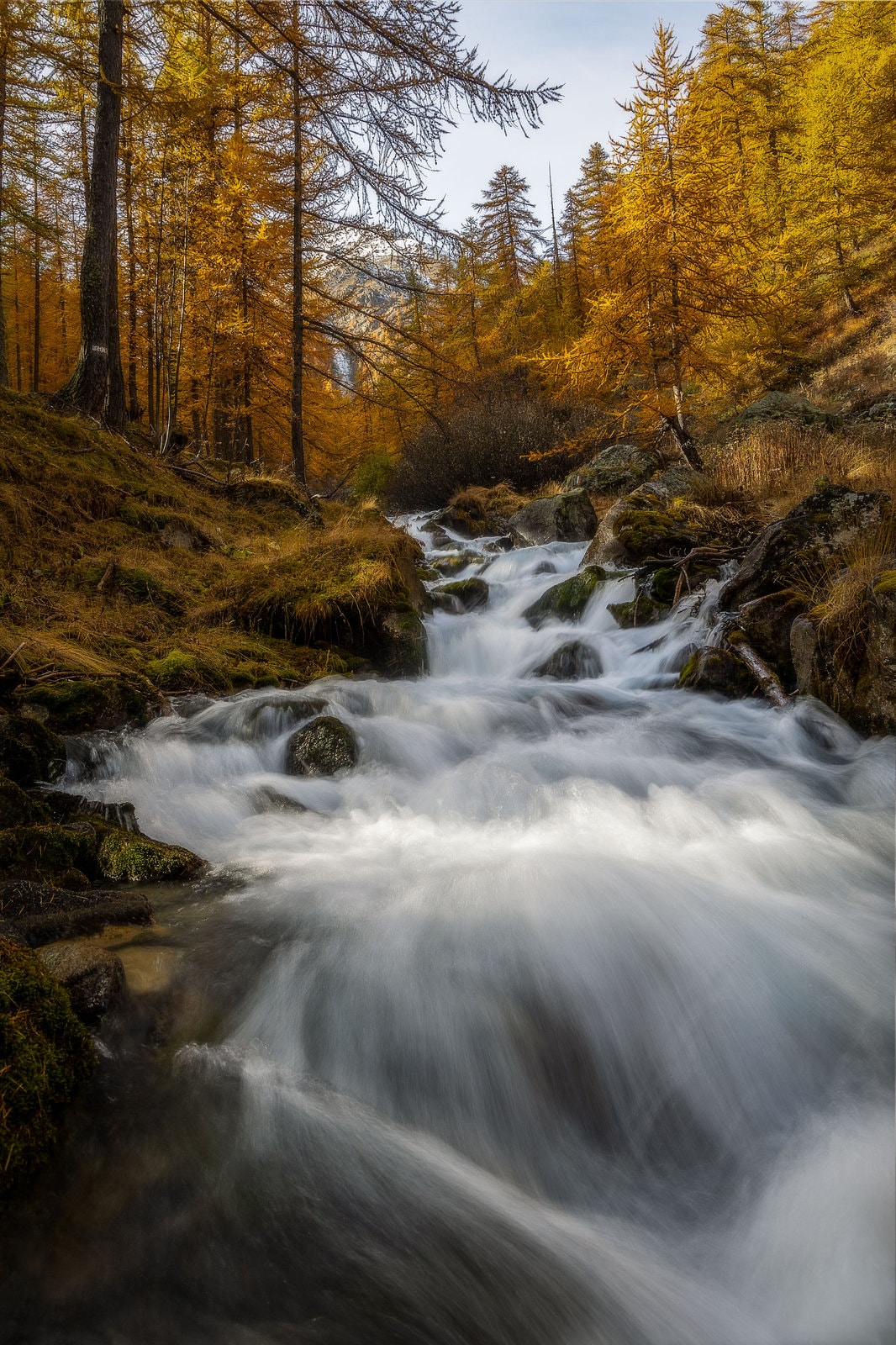 Bivouac automnal dans le parc des écrins — Écrins / Oisans
