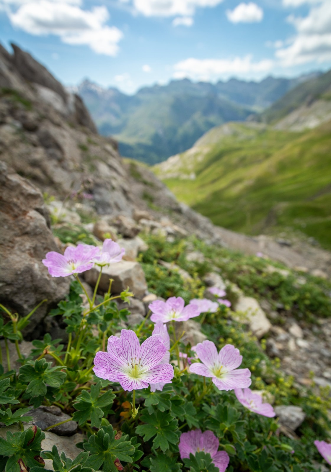9 jours dans les Hautes-Pyrénées