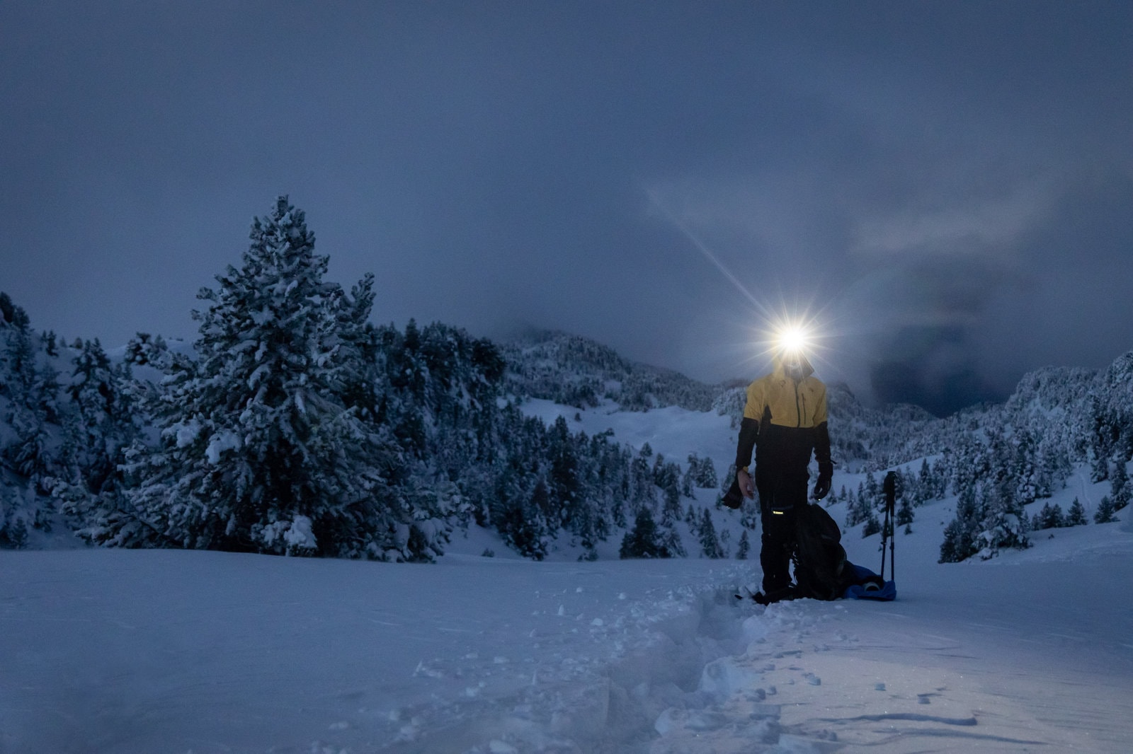 Les Plateaux du Vercors immaculés