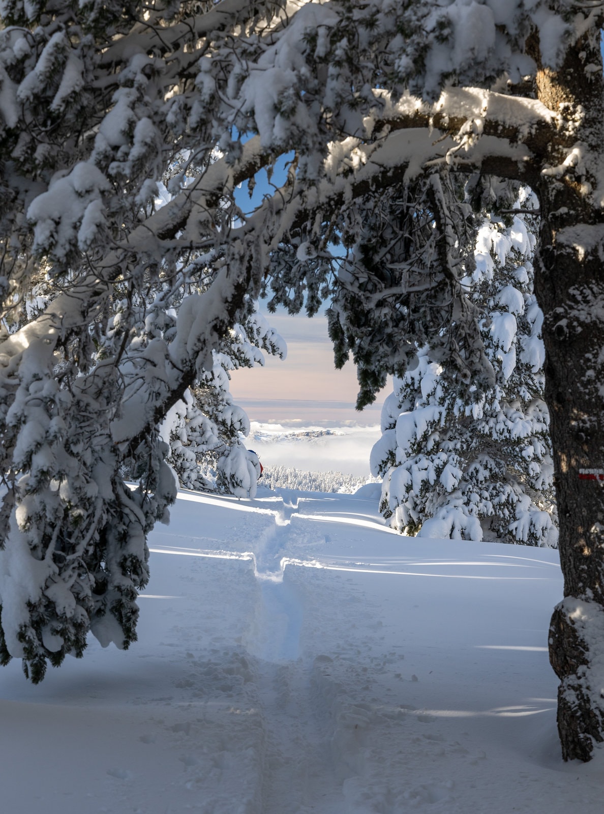 Les Plateaux du Vercors immaculés