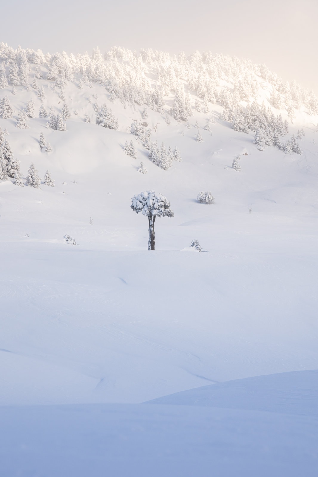 The Immaculate Vercors Plateaus