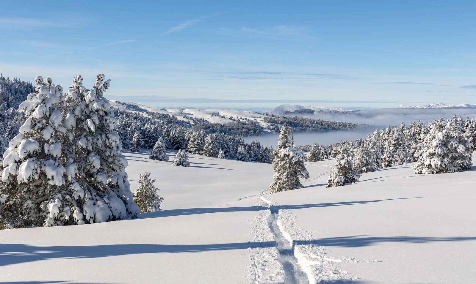 The Immaculate Vercors Plateaus