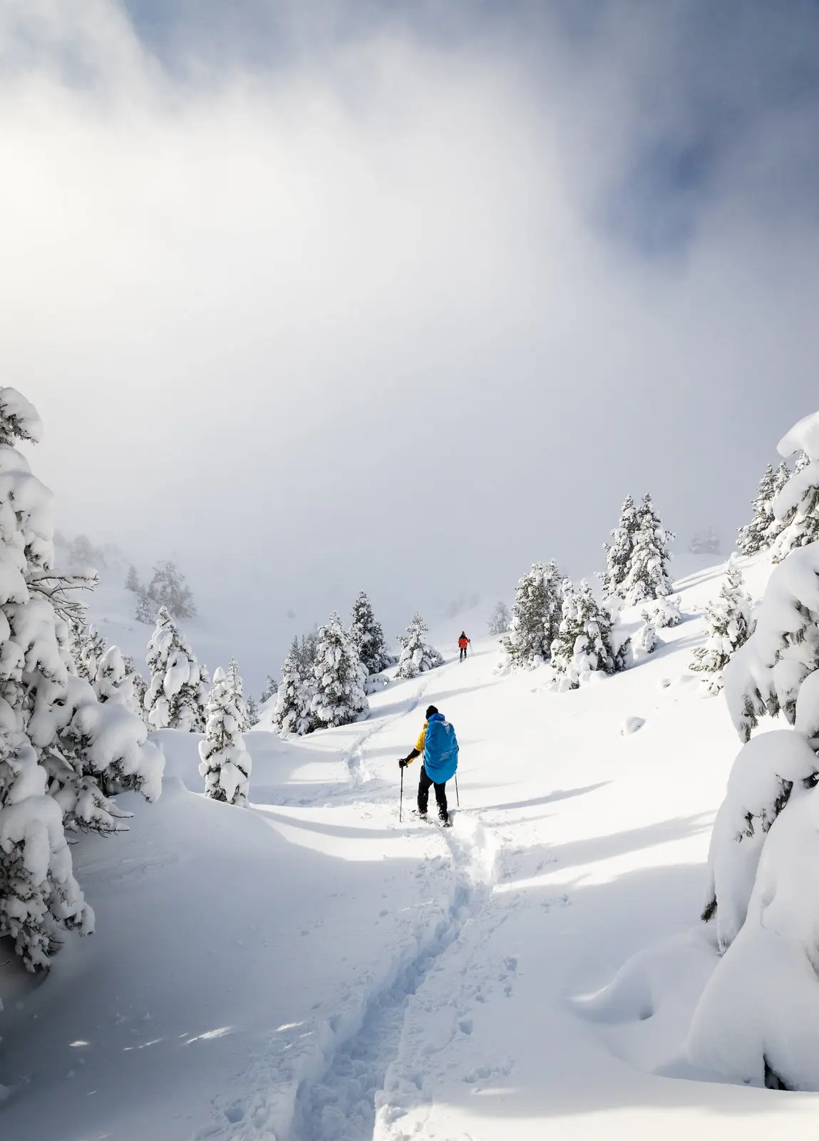 Les plateaux du Vercors immaculés