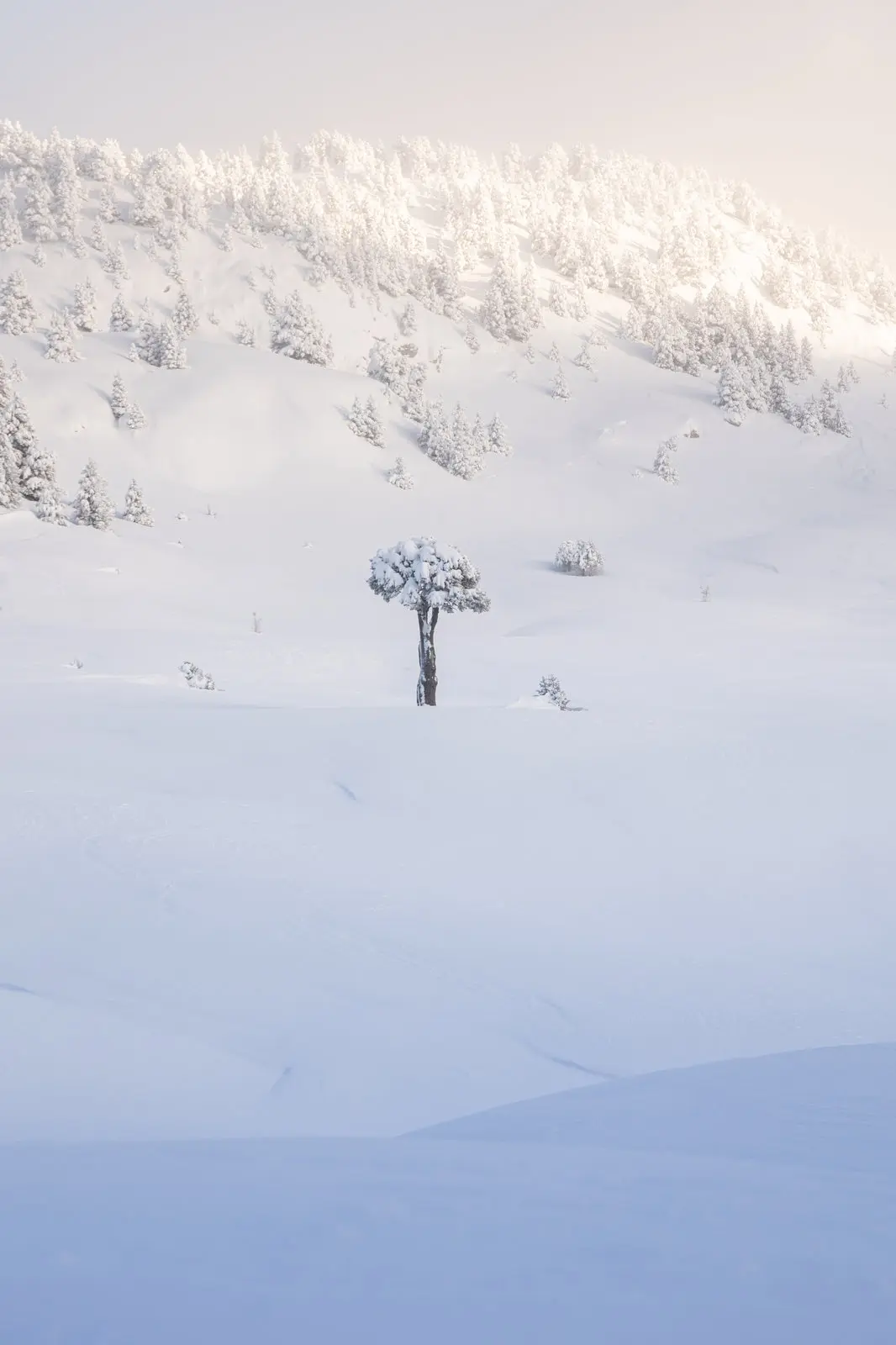 The Snow-Covered Vercors Plateaus