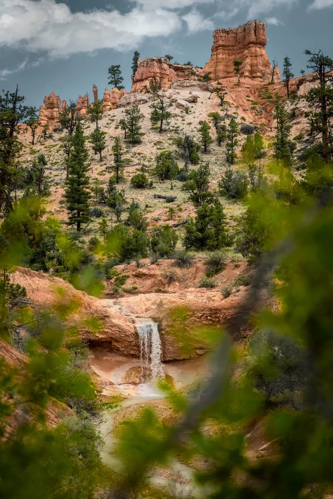 Mossy Cave Trail et la route touristique le lendemain