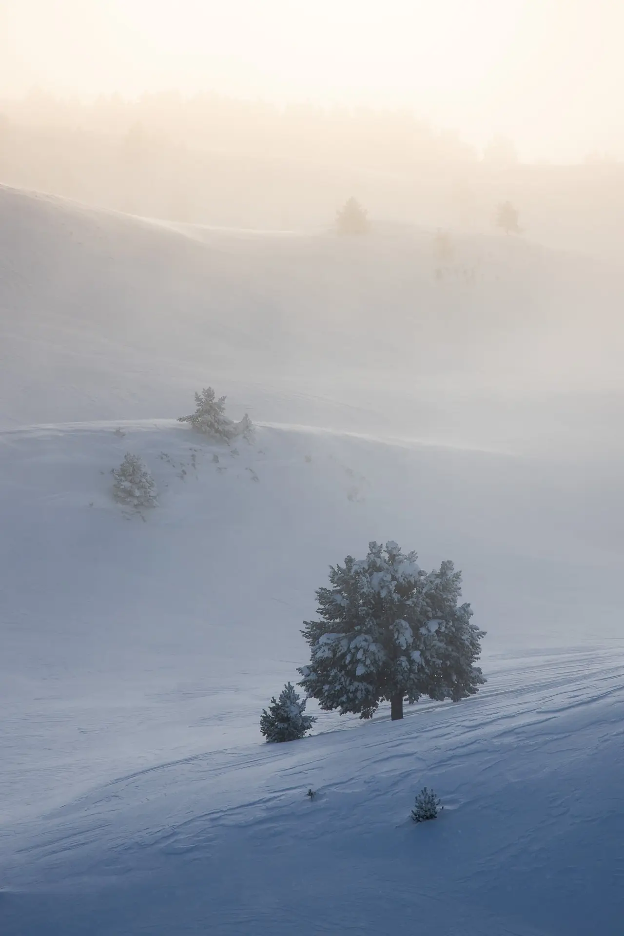 Ombre et lumière - Vercors