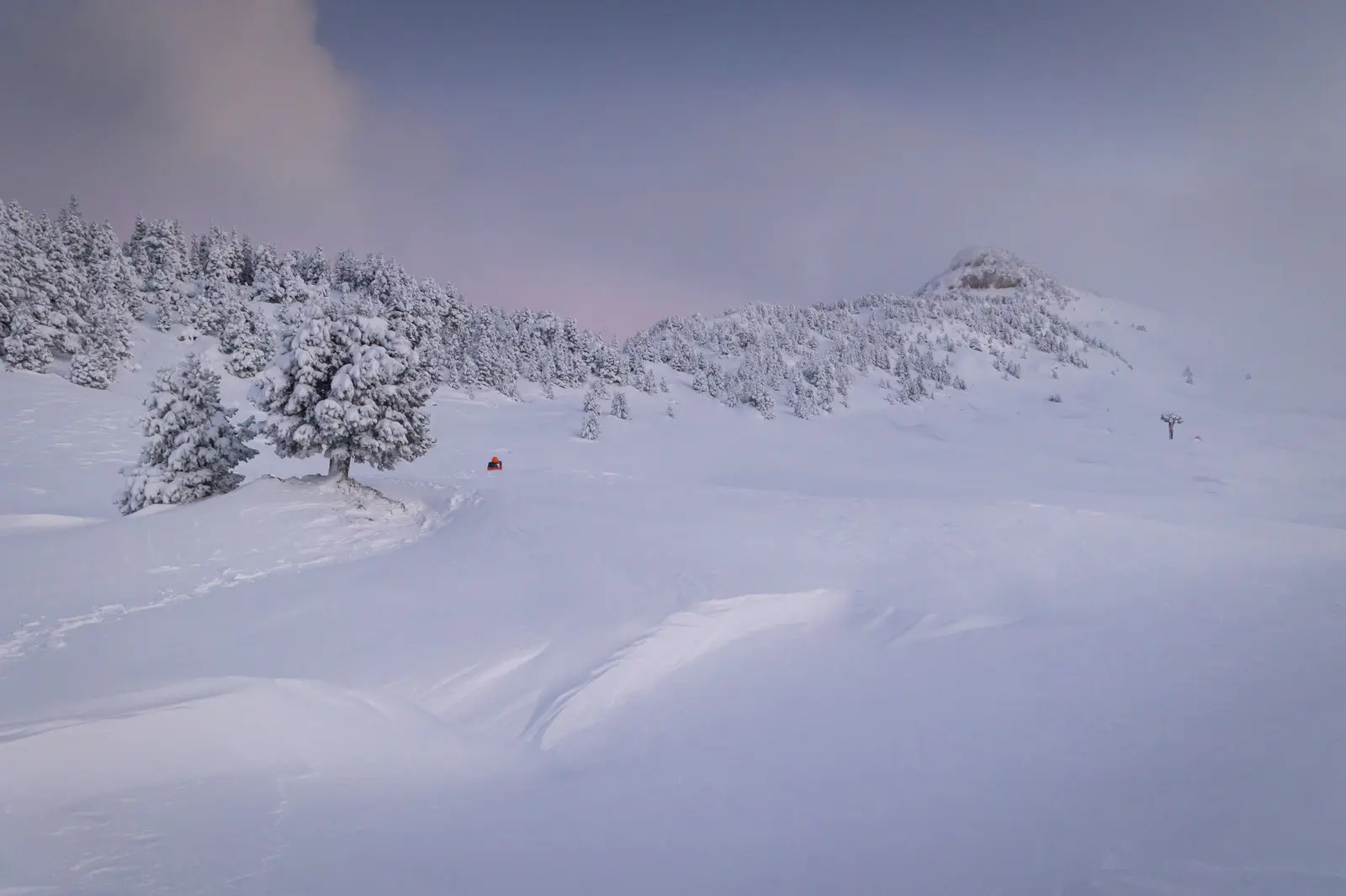 Les plateaux du Vercors immaculés