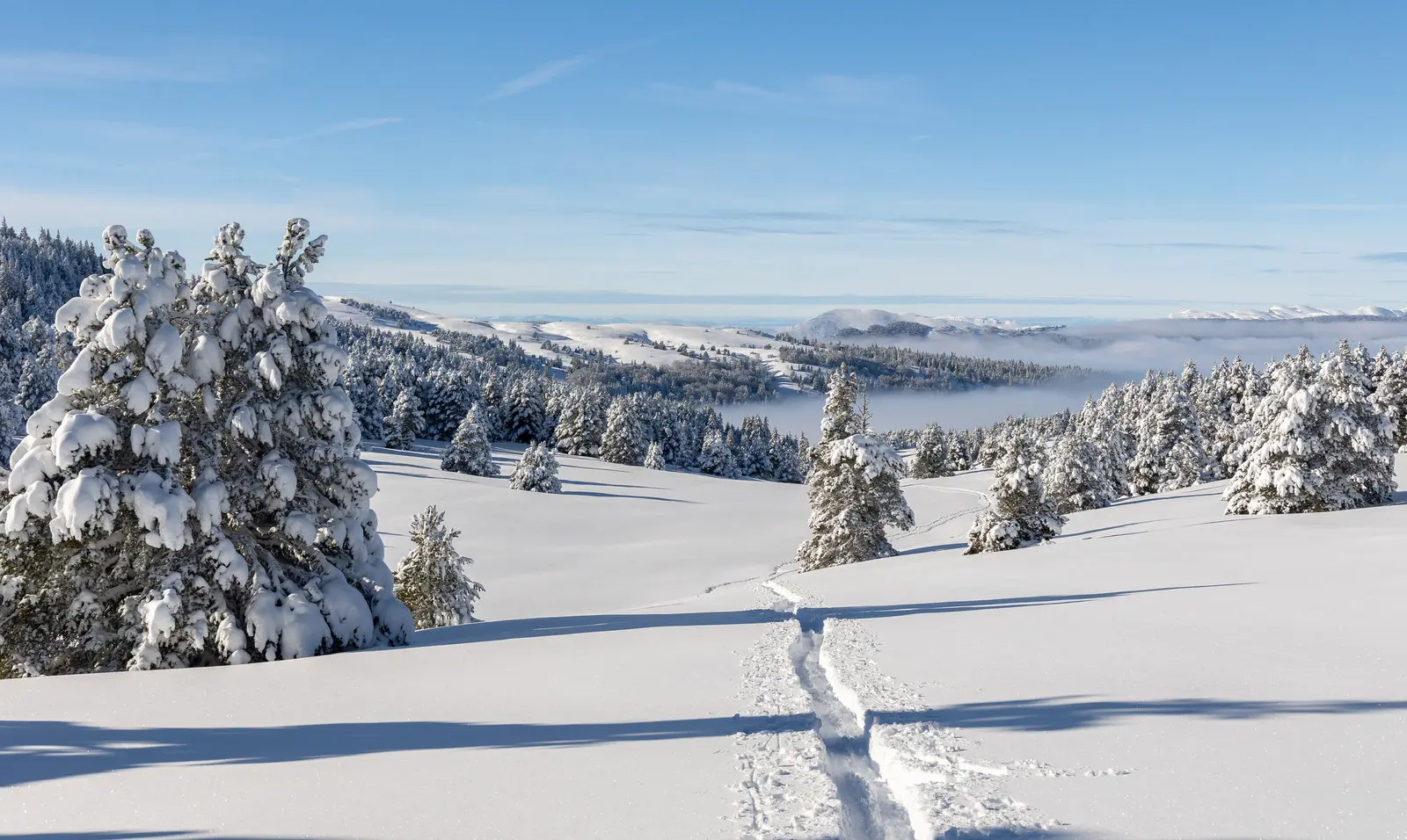 Les plateaux du Vercors immaculés