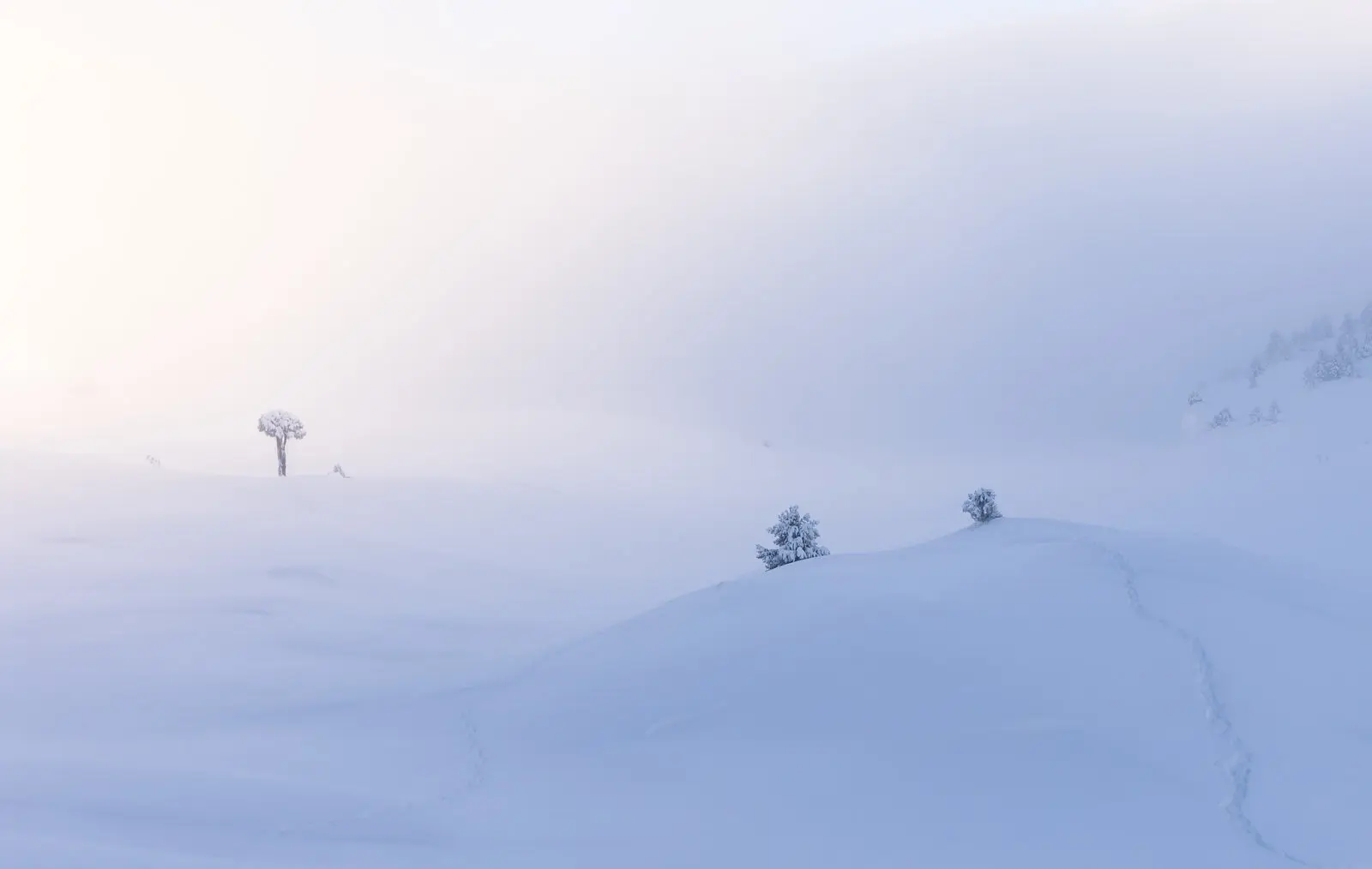 The Snow-Covered Vercors Plateaus