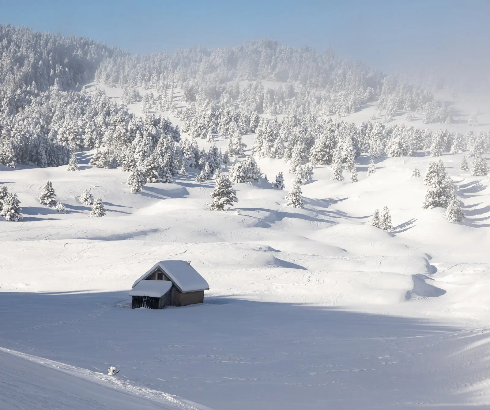 Les plateaux du Vercors immaculés
