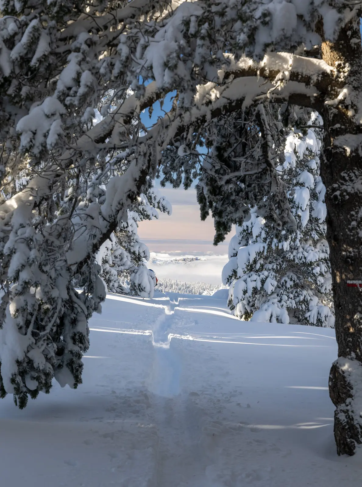 The Snow-Covered Vercors Plateaus