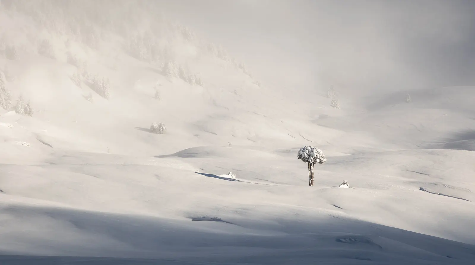 Les plateaux du Vercors immaculés