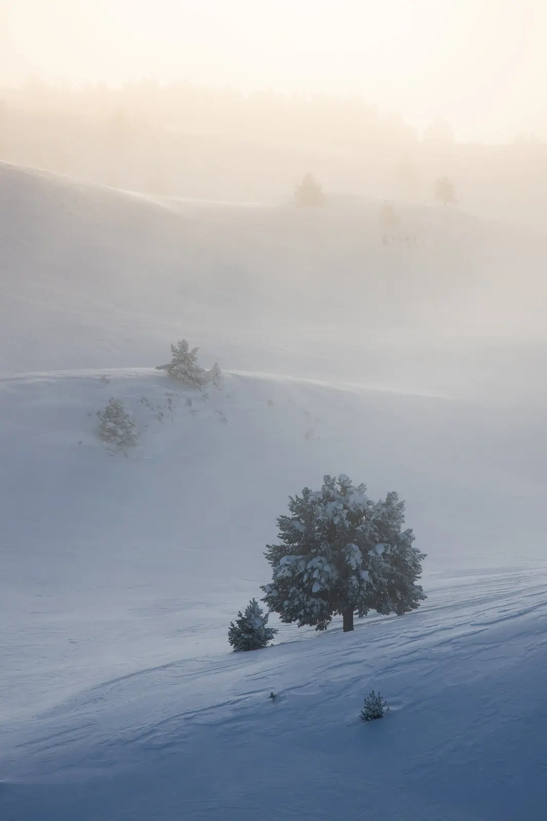 Les plateaux du Vercors immaculés