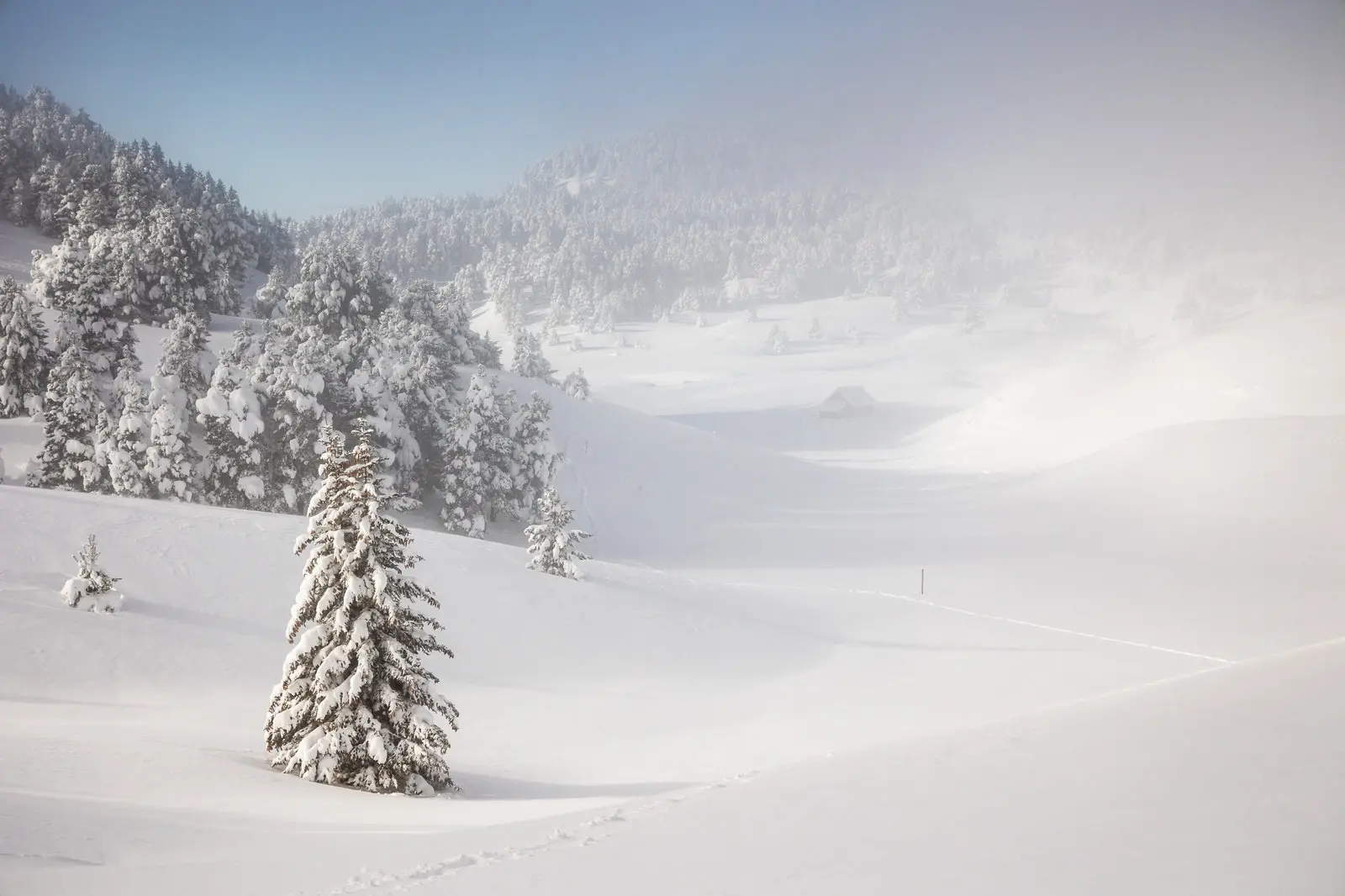 The Snow-Covered Vercors Plateaus