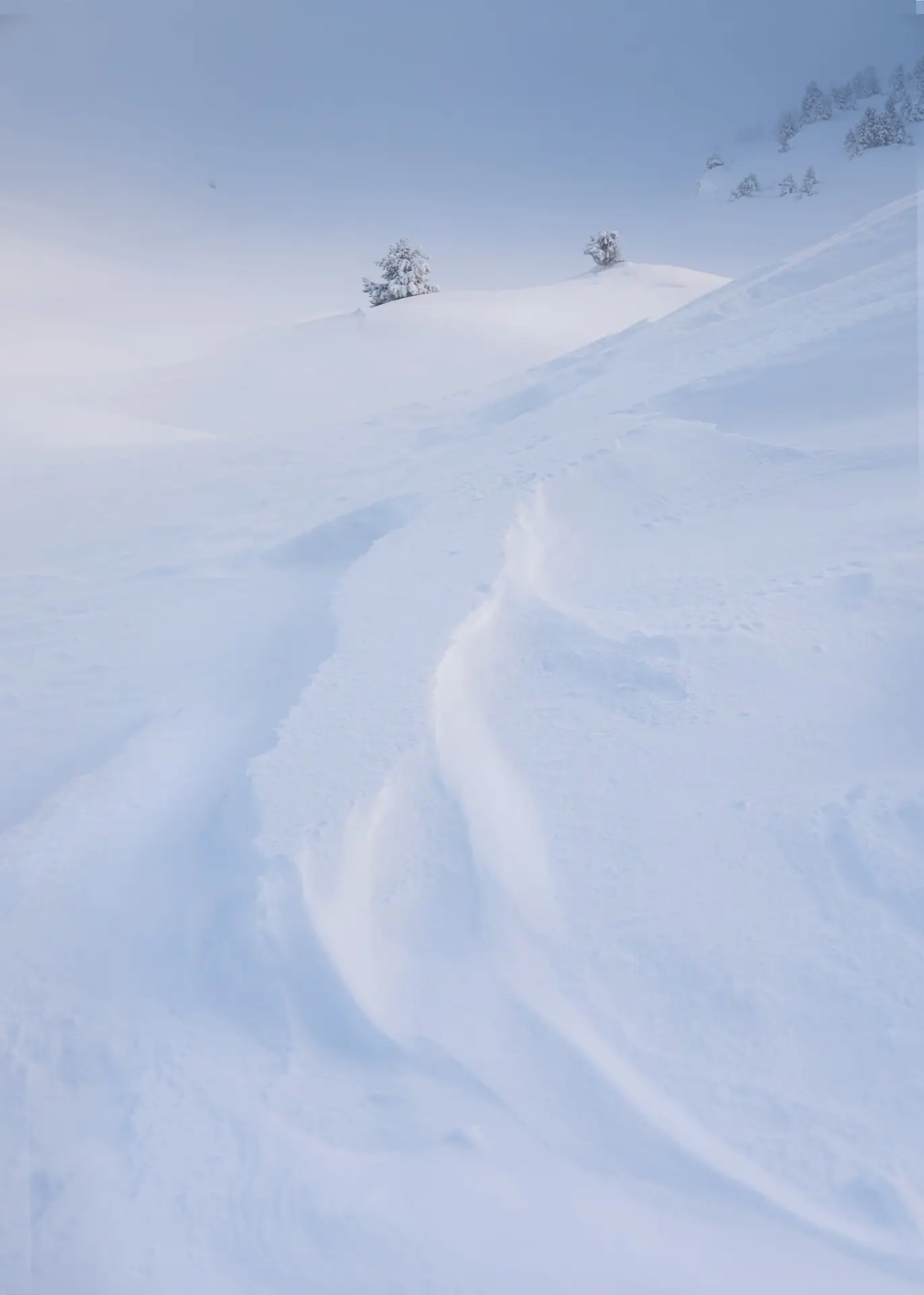 Reliefs gelés - Vercors