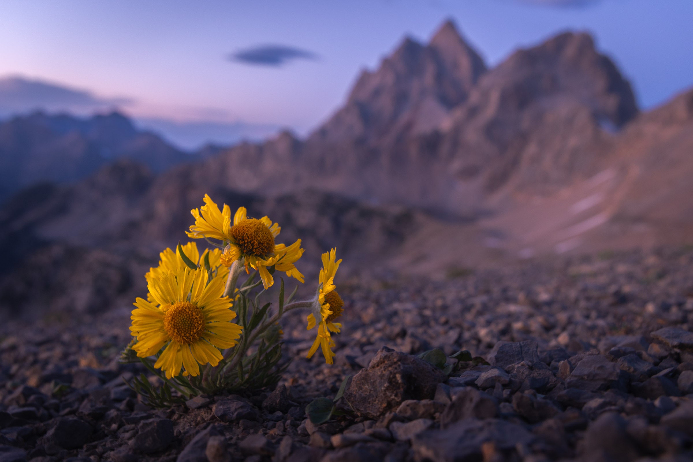 Parc National de Grand Teton — photo 1