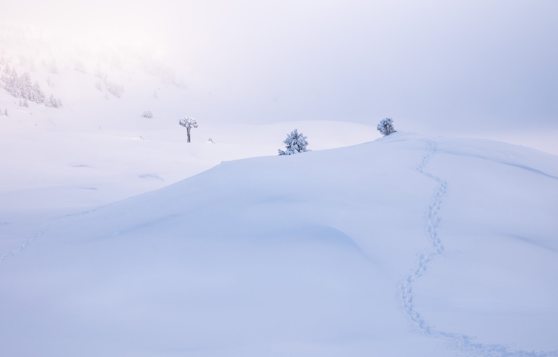 Le royaume du silence - Vercors