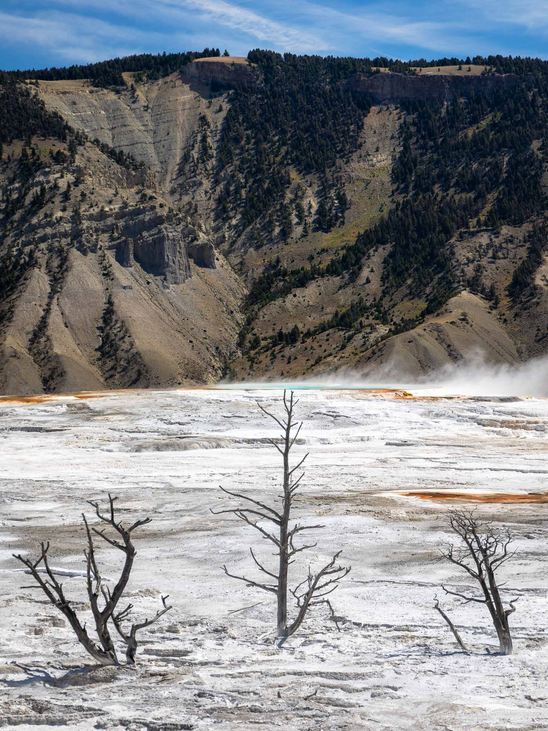 Yellowstone National Park — photo 1