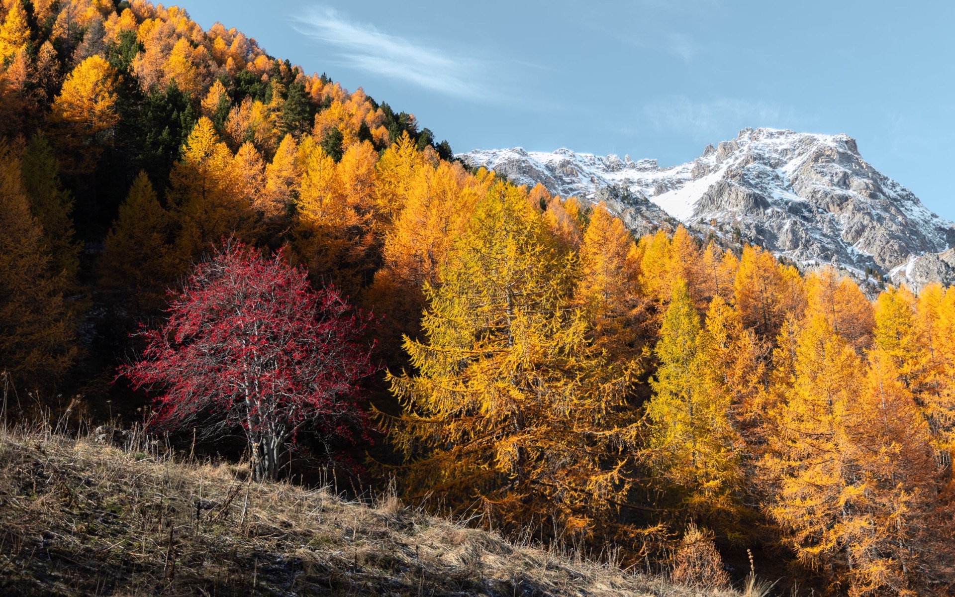Contrastes d'automne - Cerces