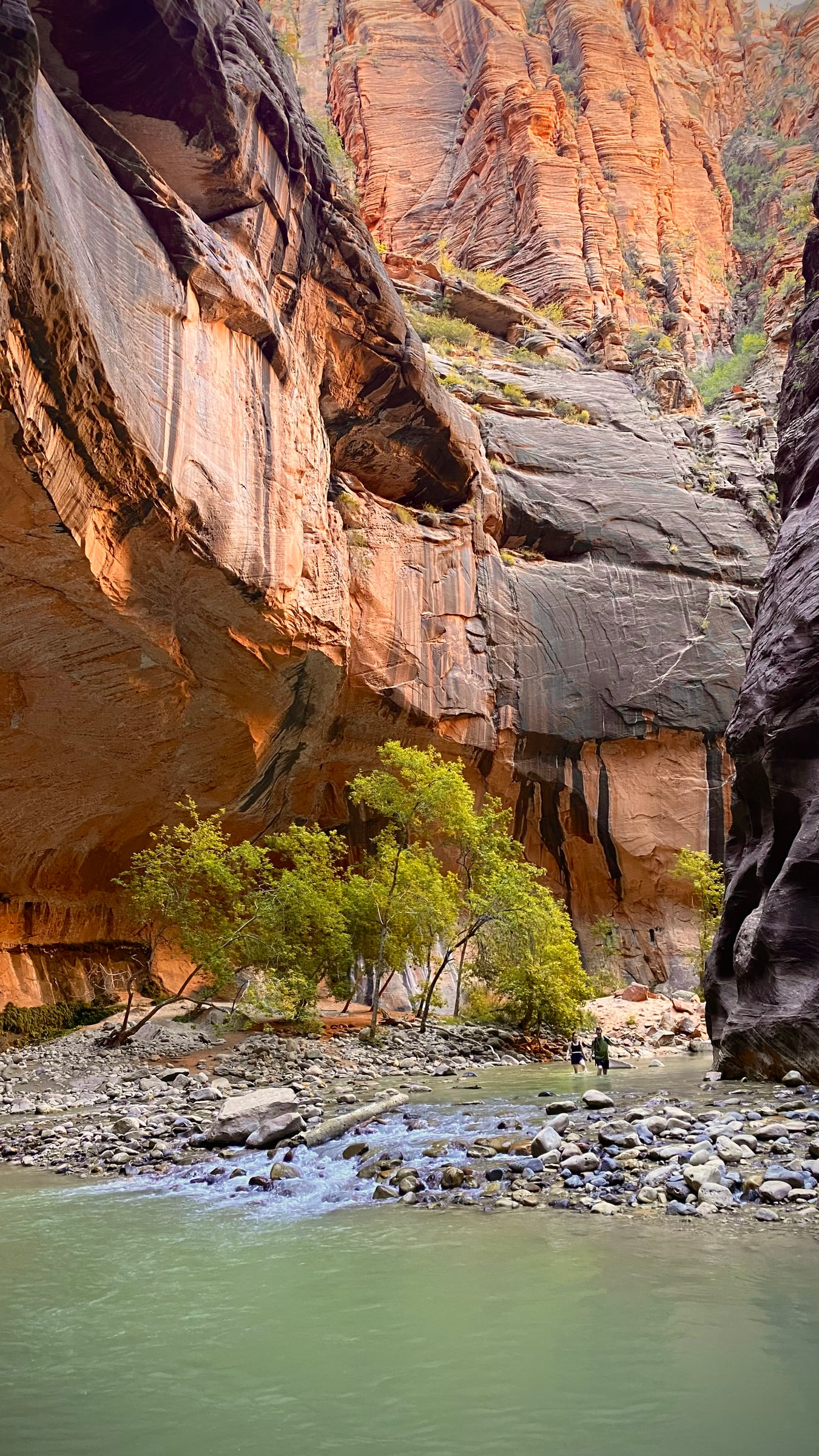 Parc National de Zion — photo 1